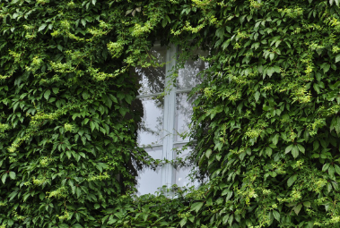 Professional barber workspace