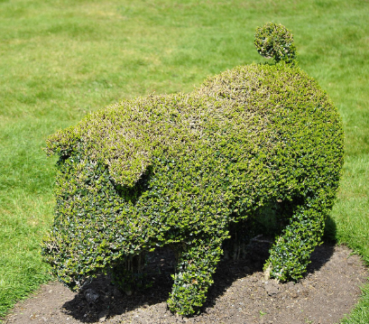 Barber shaving service
